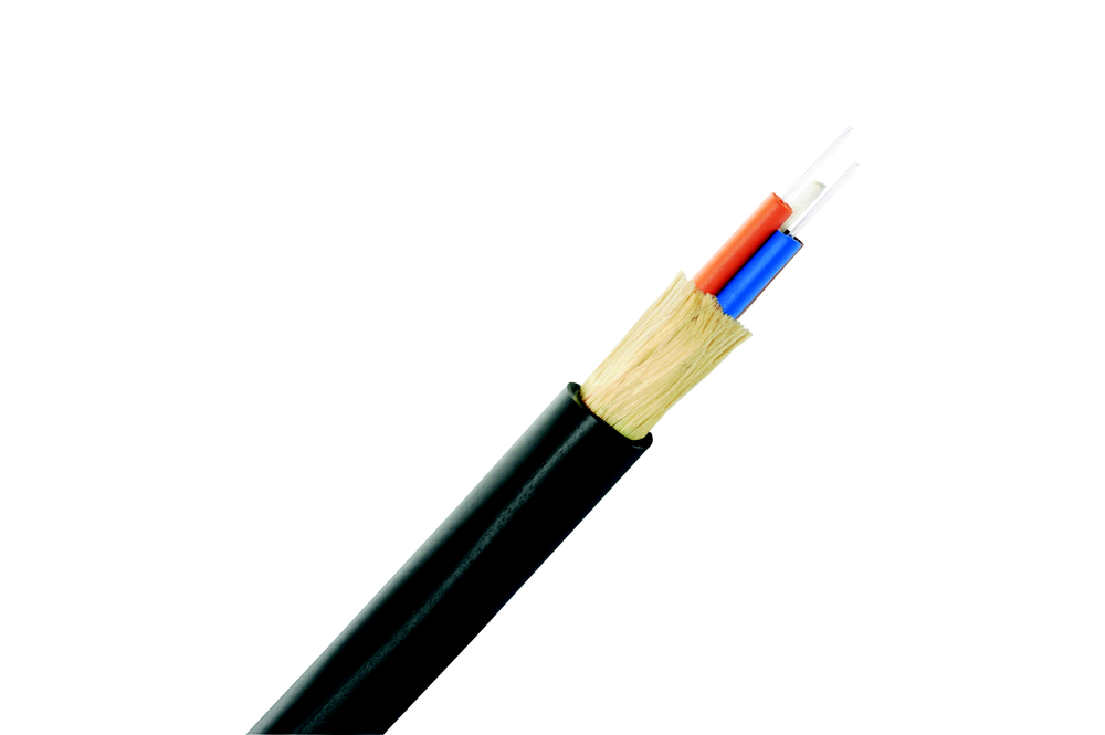 Image of Panduit FI2D202-050M