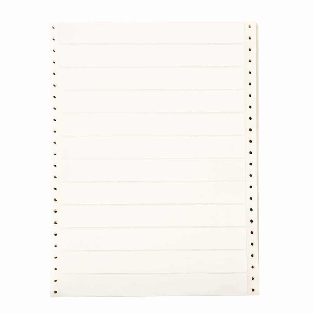 Image of Brady DAT-146-502-10