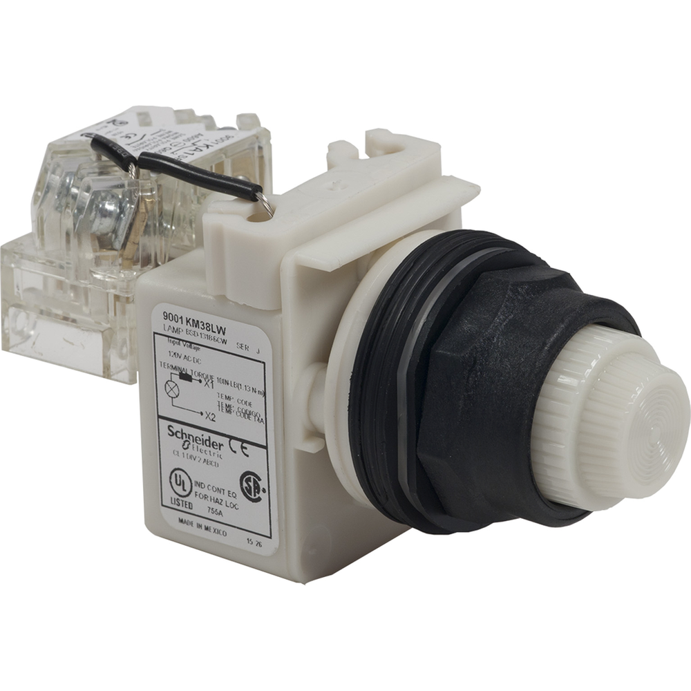 Image of Schneider Electric 9001SKT38LW
