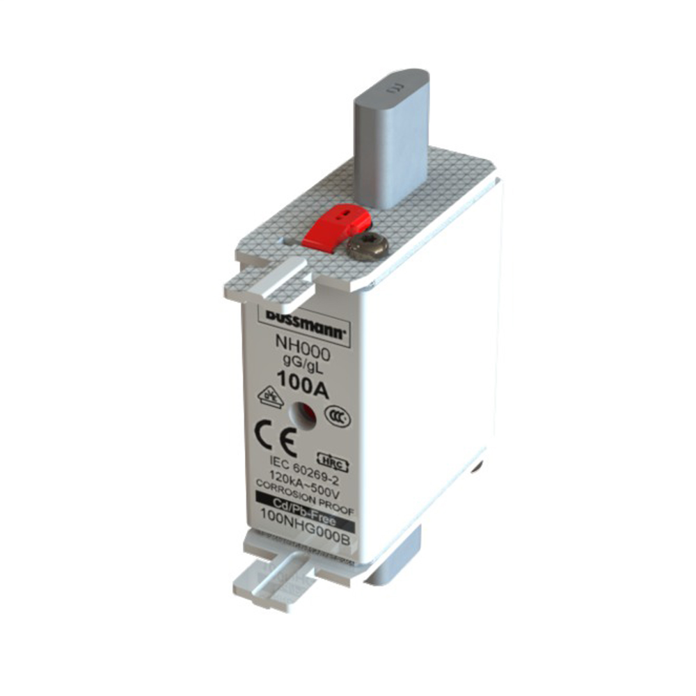 Image of Bussmann 100NH0G-B