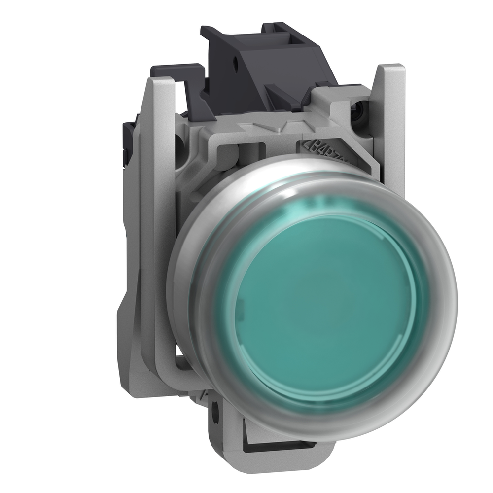 Image of Schneider Electric XB4BP381GEX