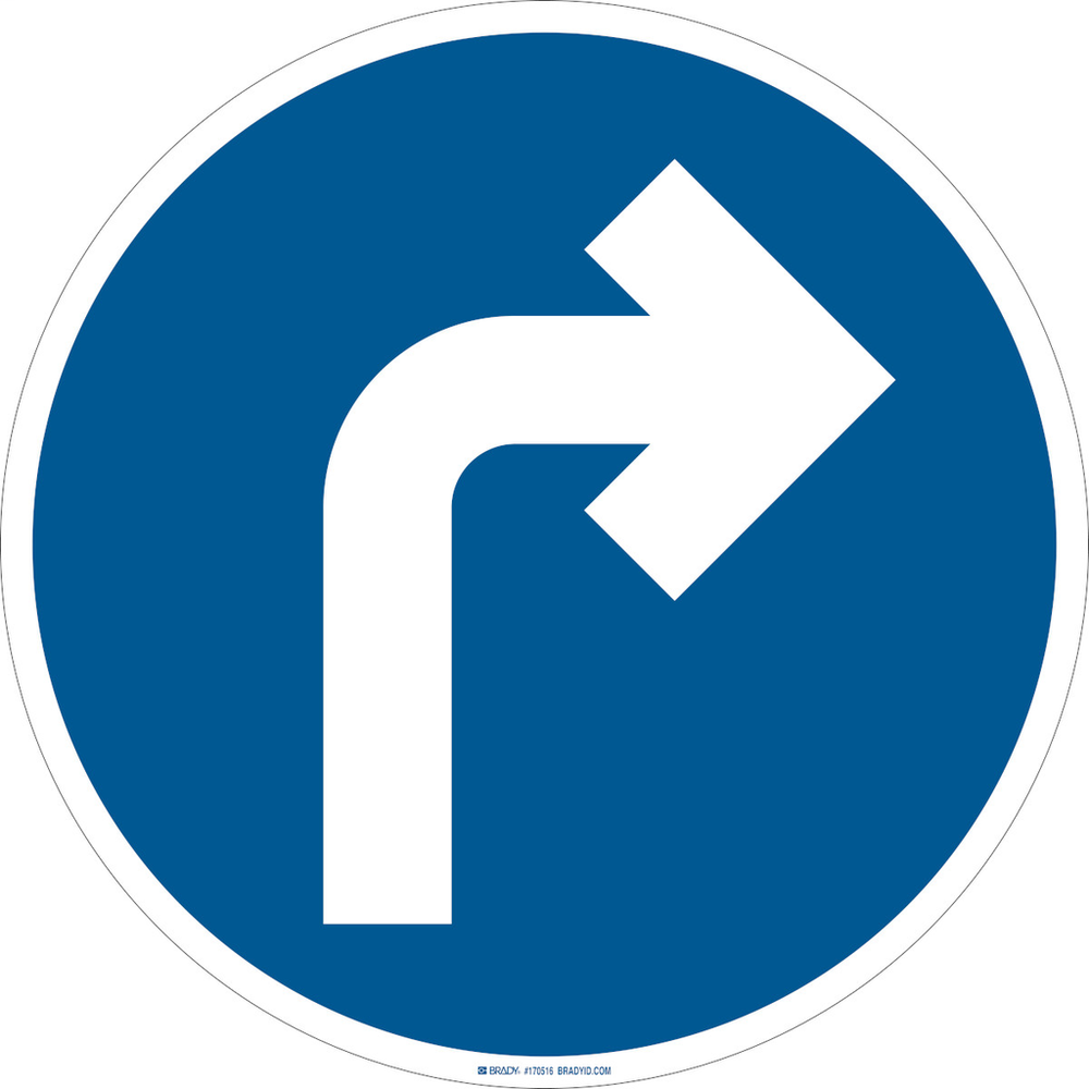 Image of Brady 170516