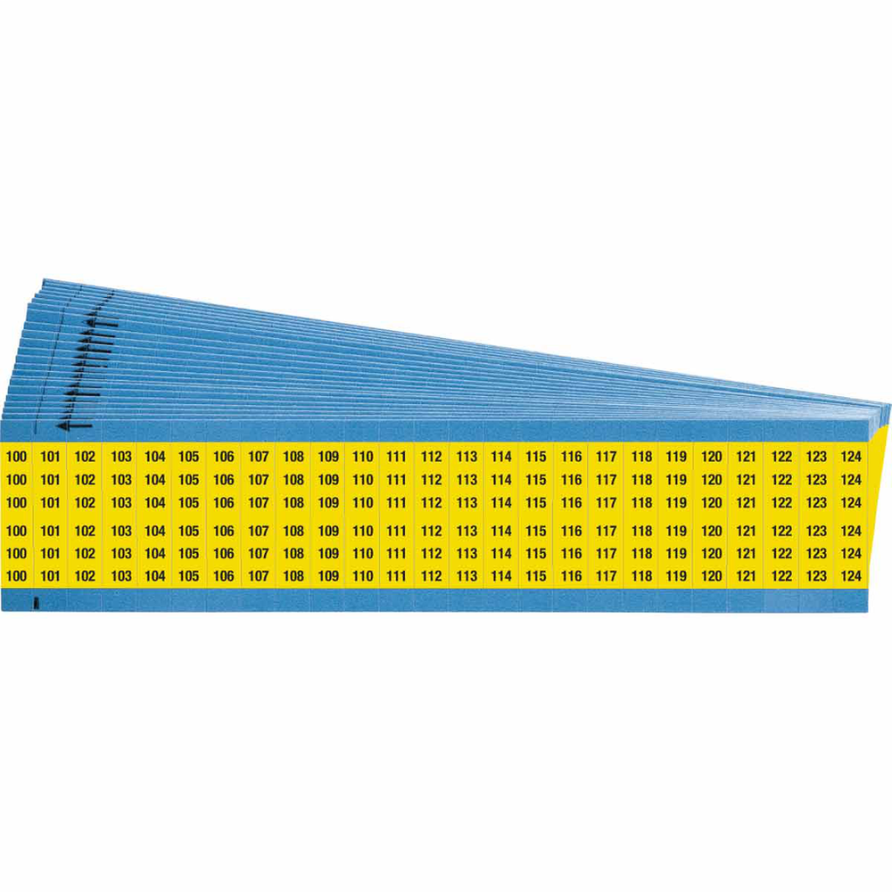 Image of Brady WM-100-124-YL-PK