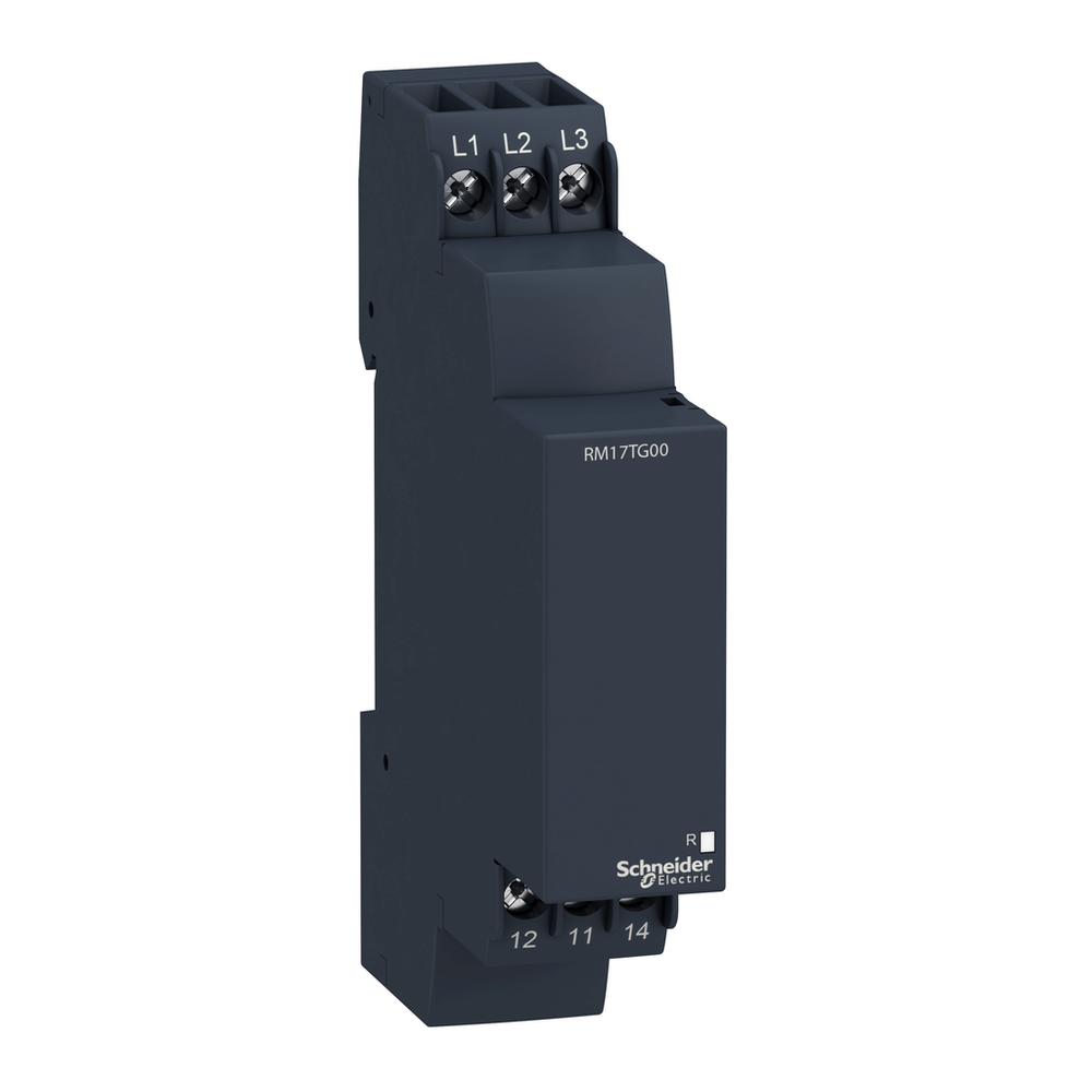 Image of Schneider Electric RM17TG00