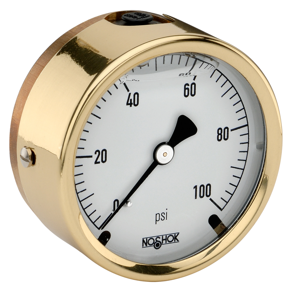 Image of NOSHOK 25-310-7500-psi
