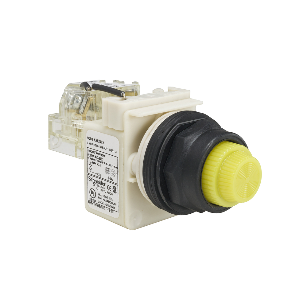 Image of Schneider Electric 9001SKT38LYY31