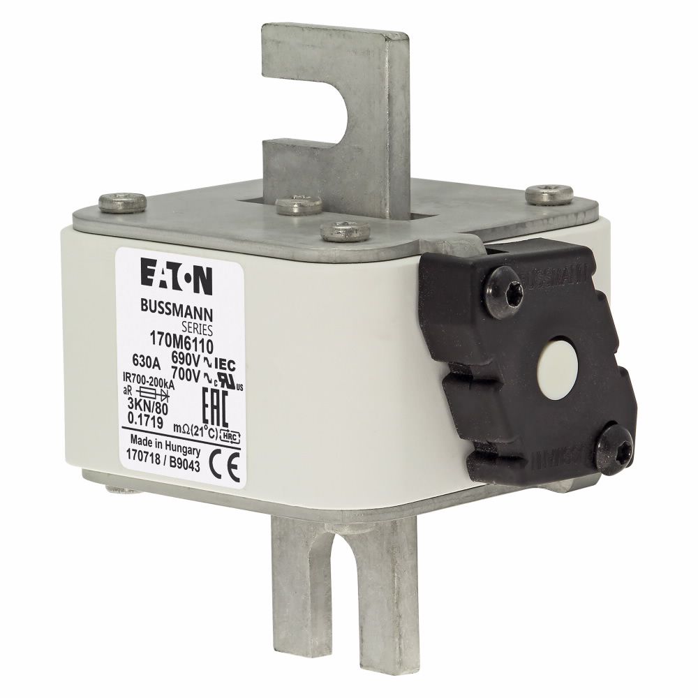 Image of Bussmann 170M6110