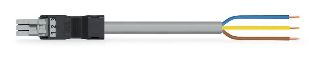 Image of WAGO 891-8993/106-703