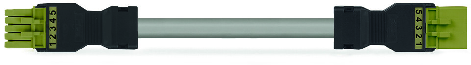Image of WAGO 891-8995/005-405