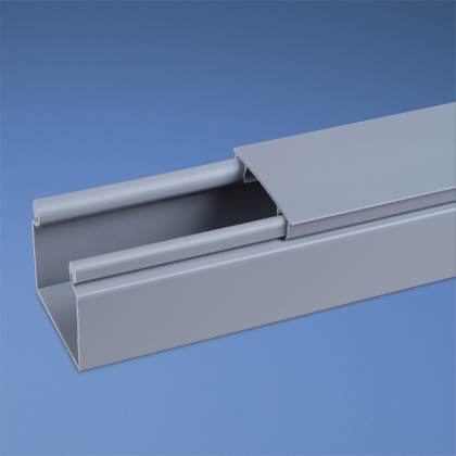 Image of Panduit HS2X2LG6NM