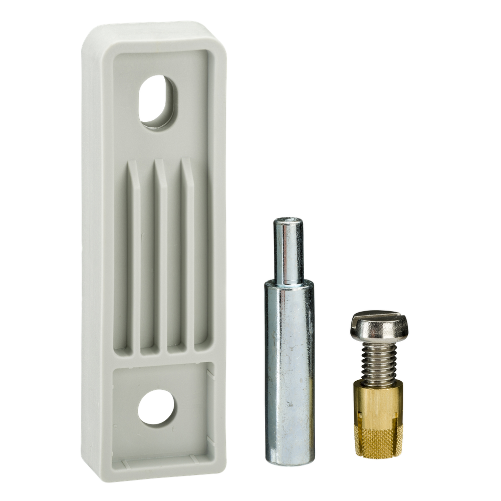 Image of Schneider Electric NSYPFPLMG