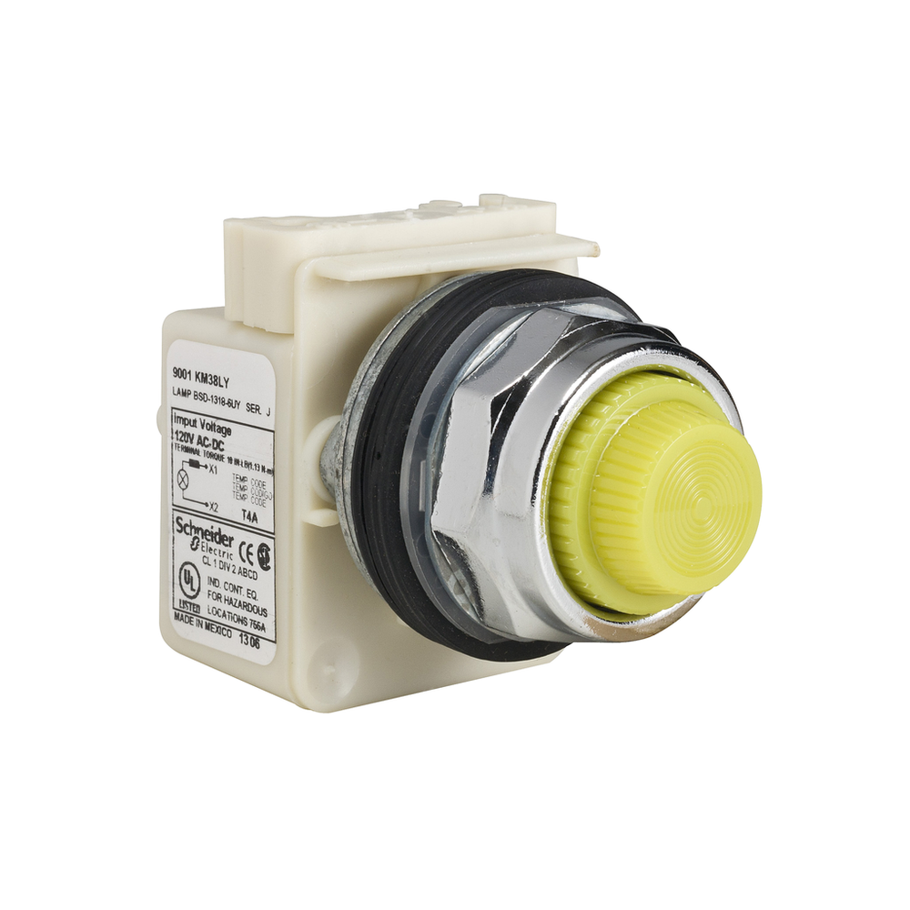 Image of Schneider Electric 9001KP38LYY31