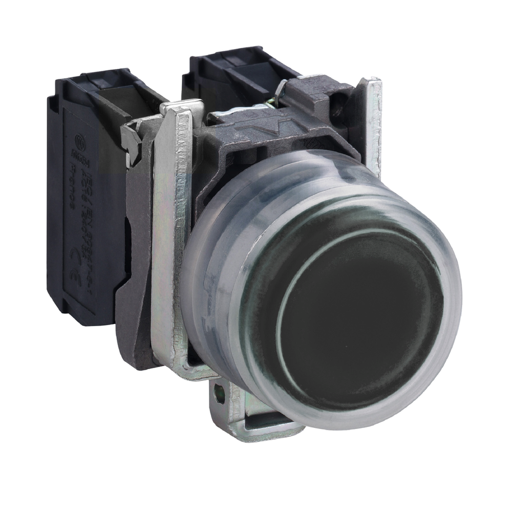 Image of Schneider Electric XB4BPCUST01