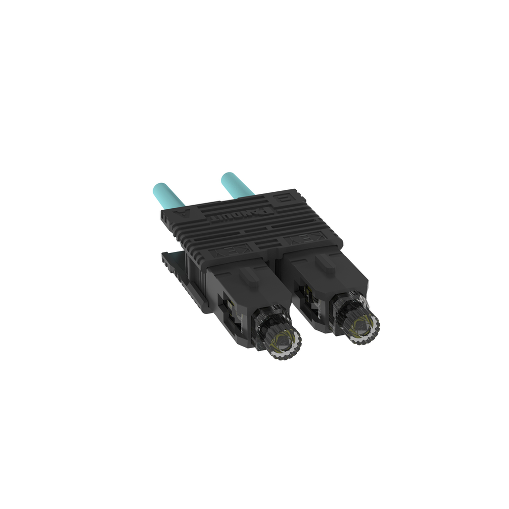 Image of Panduit FSC2DMCXAQ