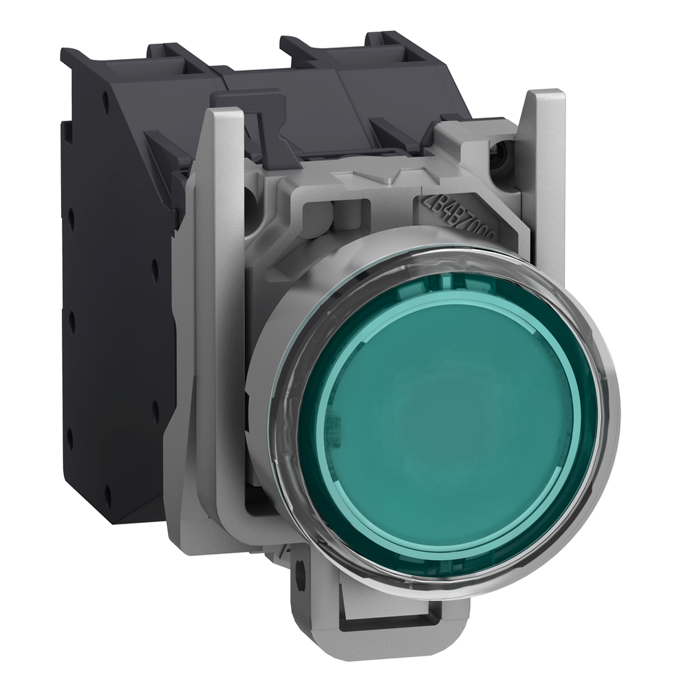 Image of Schneider Electric XB4BP383BM5GEX
