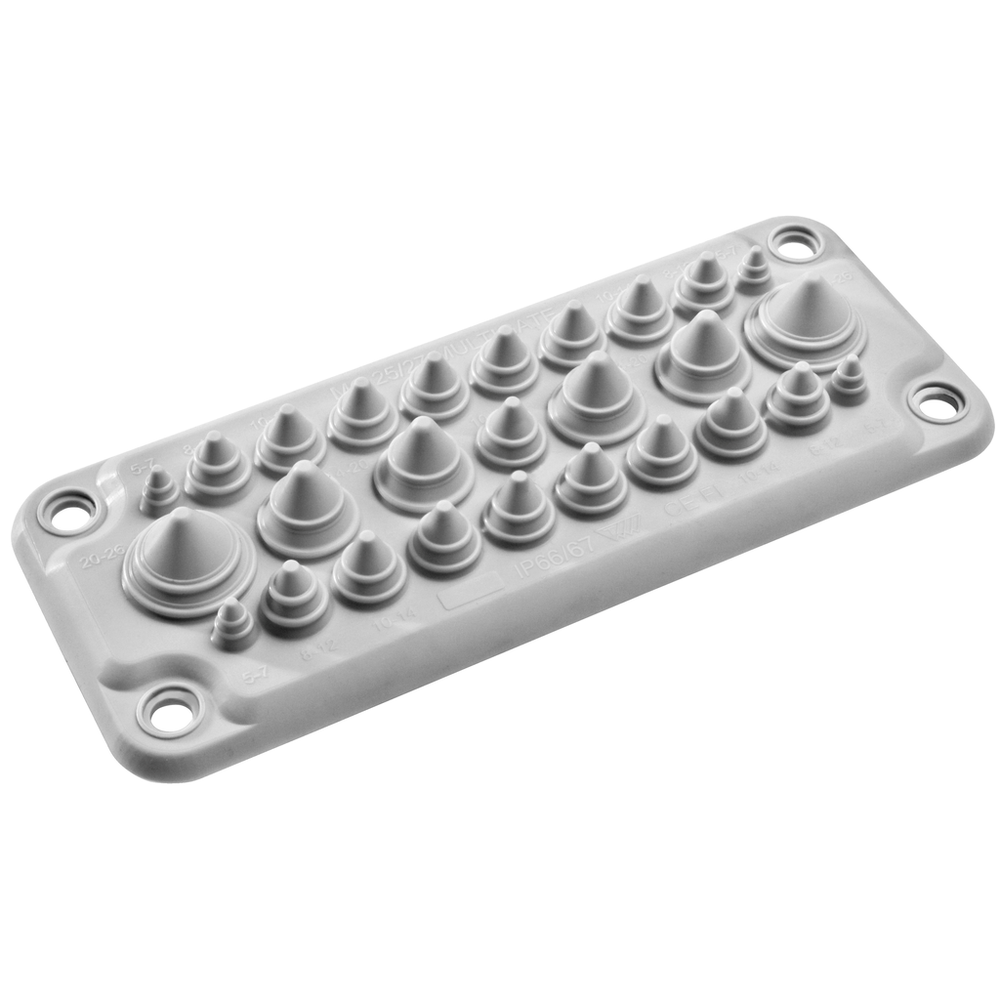 Image of Schneider Electric NSYAECPFLT25