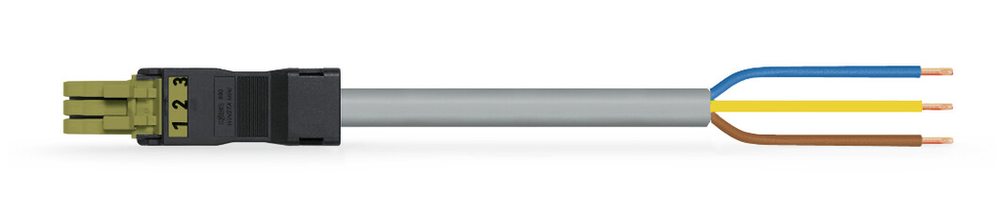 Image of WAGO 891-8993/105-705