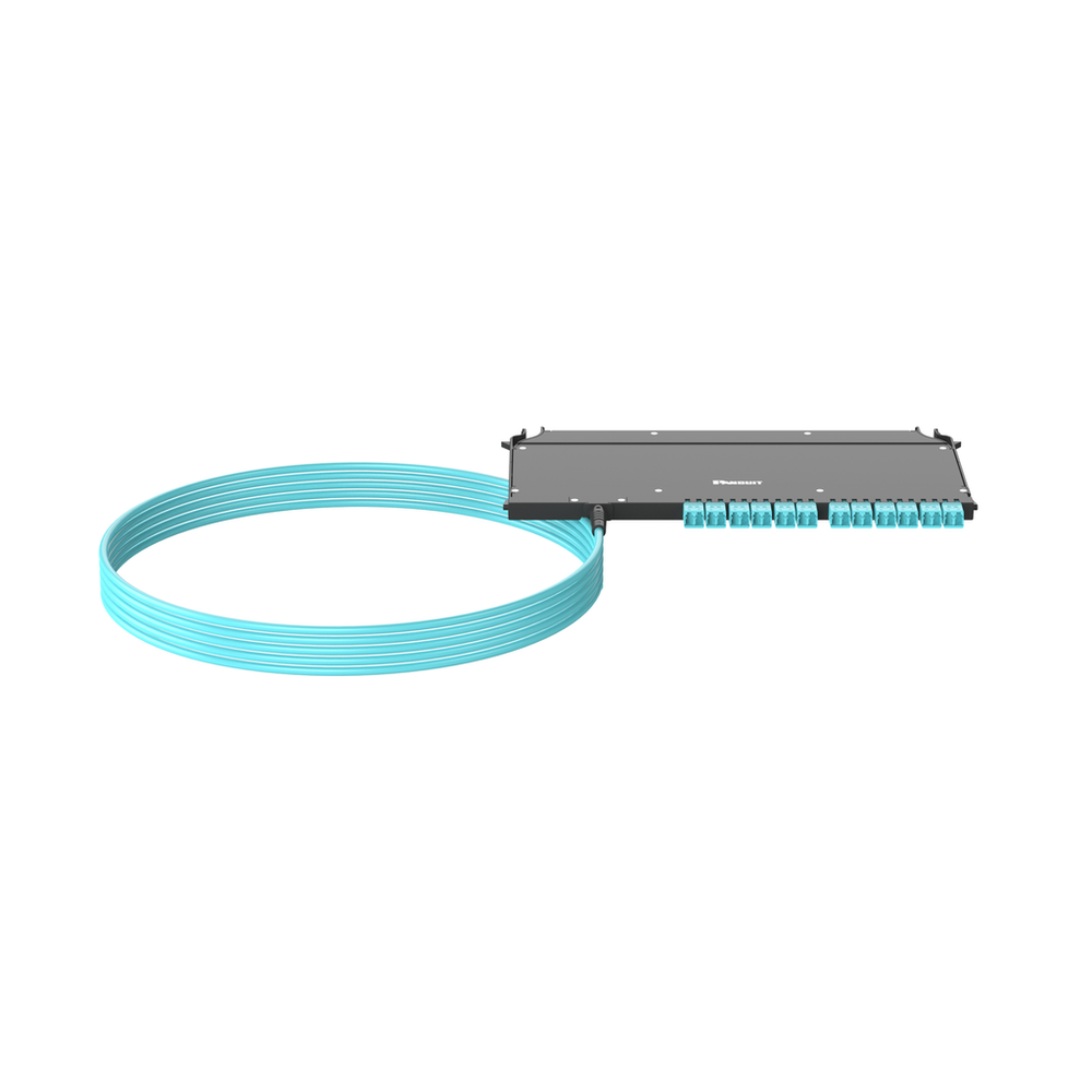 Image of Panduit FZUYPXLNNONF050