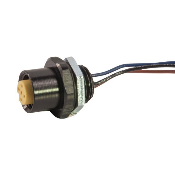 Image of Remke 305S0010P9