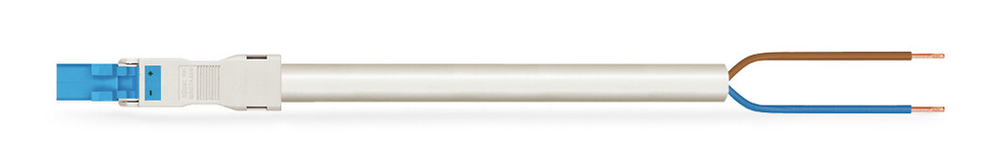 Image of WAGO 891-8982/216-102
