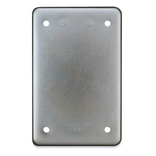 Image of Thomas & Betts DSS100-TB