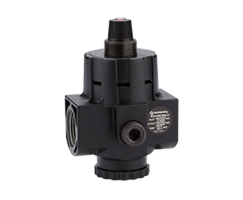 Image of Norgren R24-800-RNLG