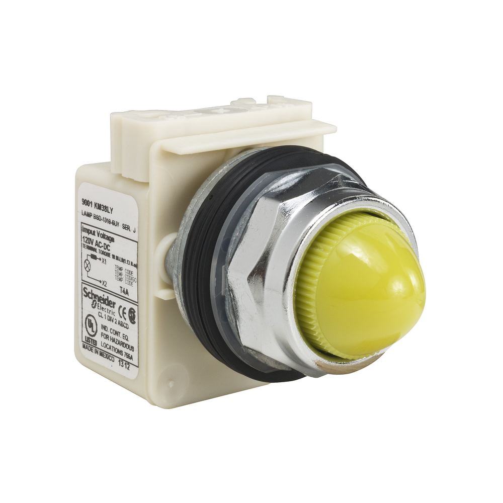 Image of Schneider Electric 9001KP38LYY9