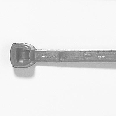 Image of Catamount L-48-175-8-L