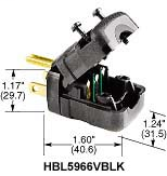 Image of Hubbell Wiring Device-Kellems HBL5966VBKB