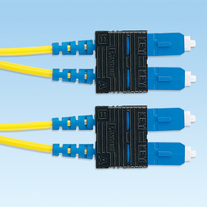 Image of Panduit NKF9GR02S-SM02