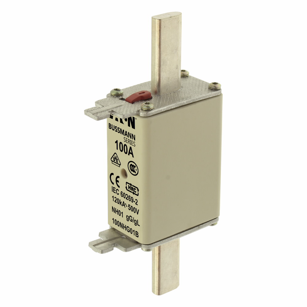 Image of Edison 100NHG01B