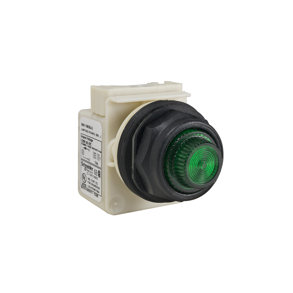 Image of Schneider Electric 9001SKP38LGG31