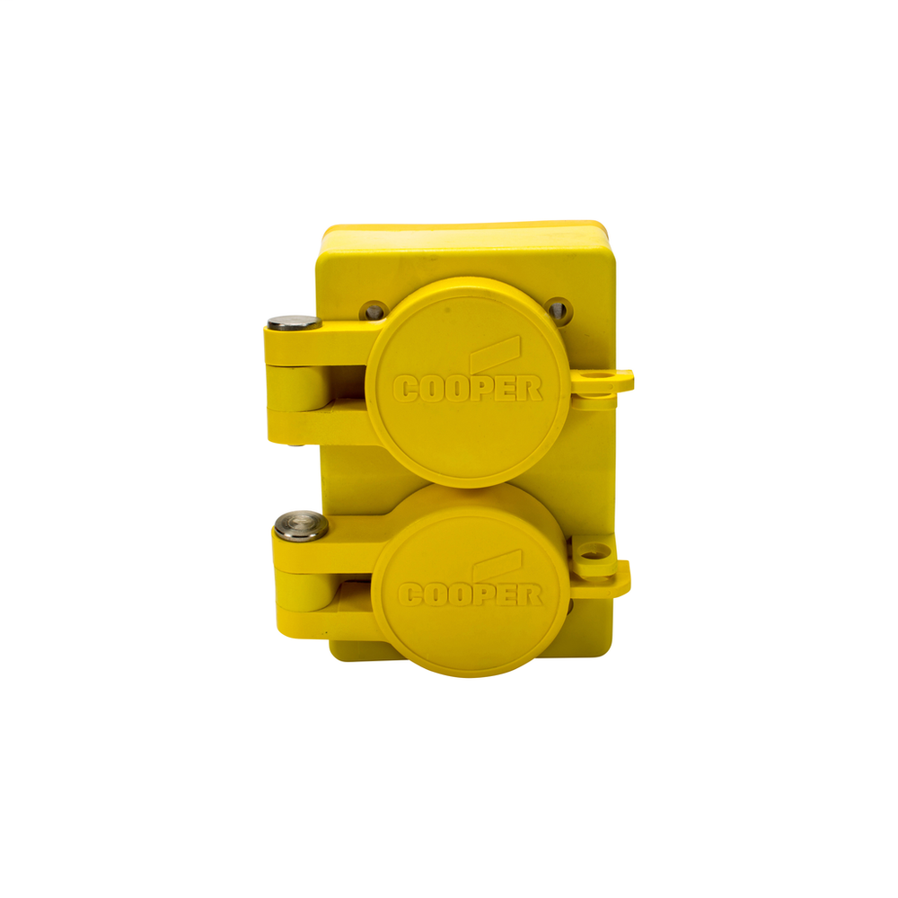 Image of Cooper Wiring Devices 60W49DPLX