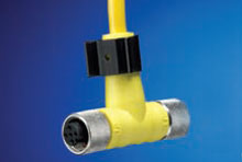 Image of Brad Harrison 848639001