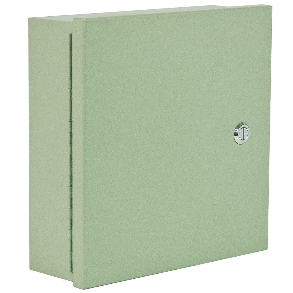 Image of Wiegmann N1C060806