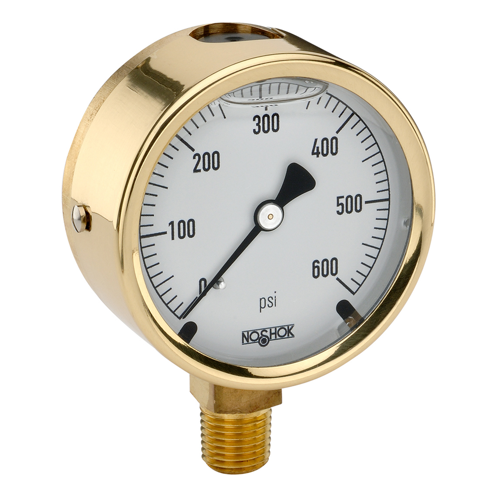 Image of NOSHOK 25-300-30/60-psi/kg/cm2