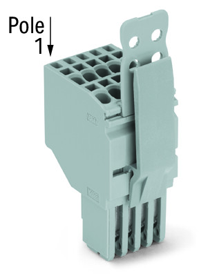 Image of WAGO 2020-210/145-000