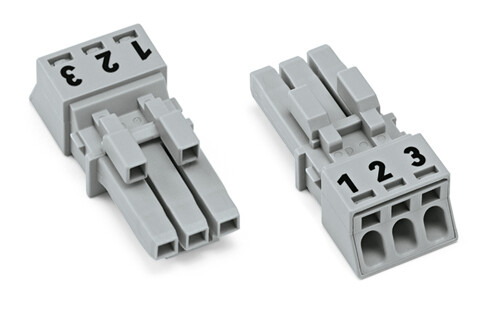 Image of WAGO 890-243