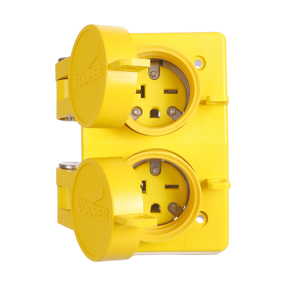Image of Cooper Wiring Devices 60W48DPLX