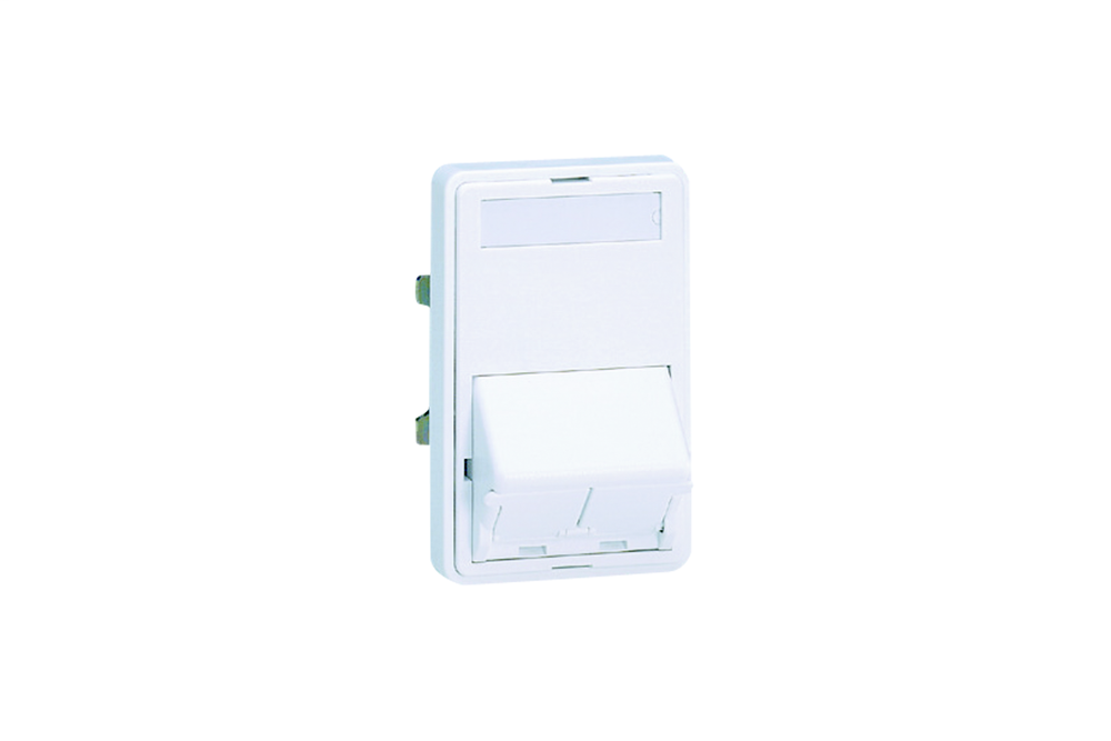 Image of Panduit CFPDS2SEWY