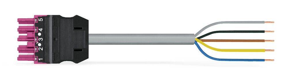 Image of WAGO 771-9995/106-807