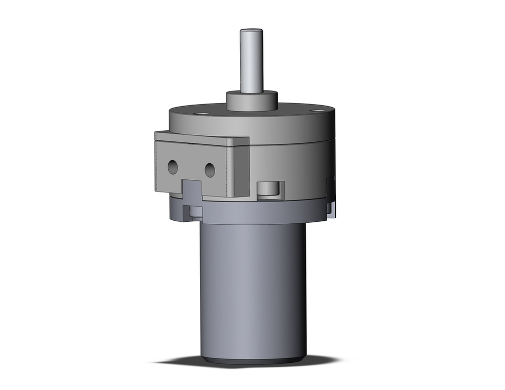Image of SMC CDRB2BW10-90SZ