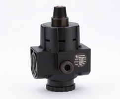 Image of Norgren R24-600-RNLG