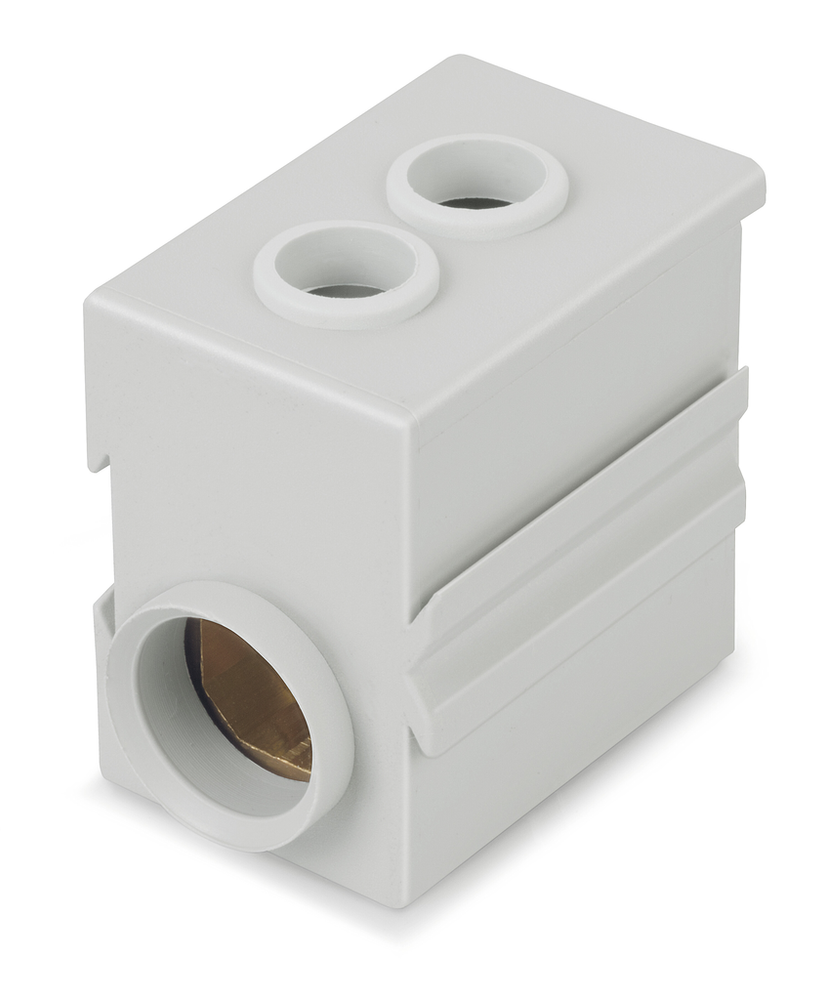 Image of WAGO 811-471