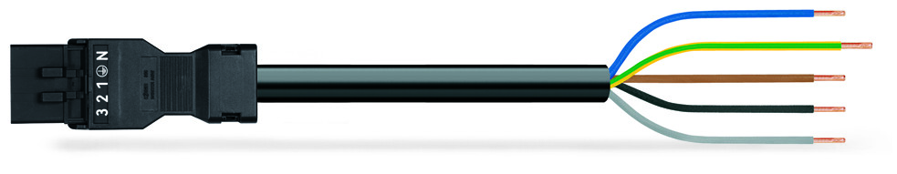 Image of WAGO 891-8995/206-101