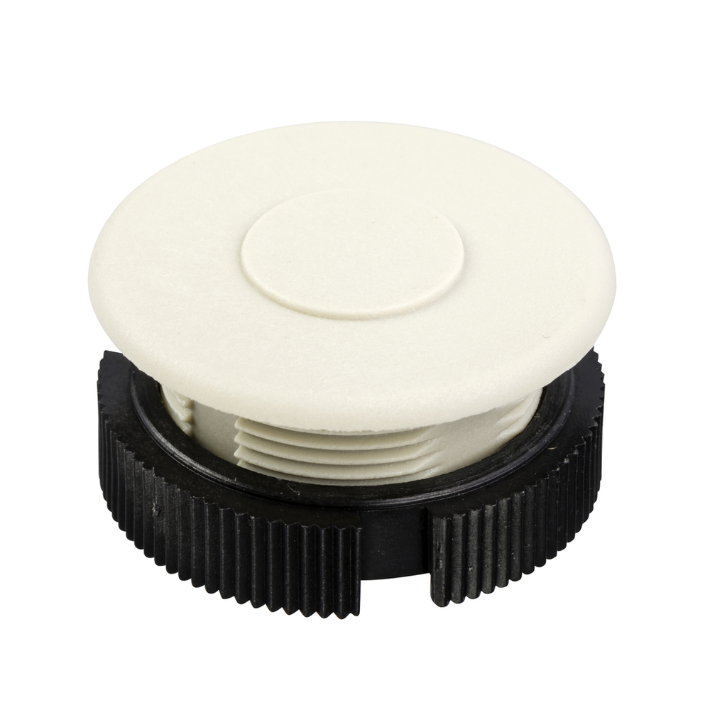 Image of Schneider Electric ZB2SZ4