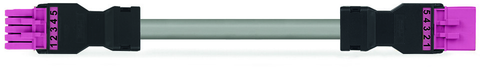 Image of WAGO 891-8995/006-307