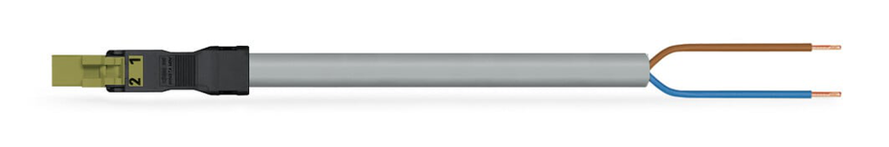 Image of WAGO 891-8992/205-605