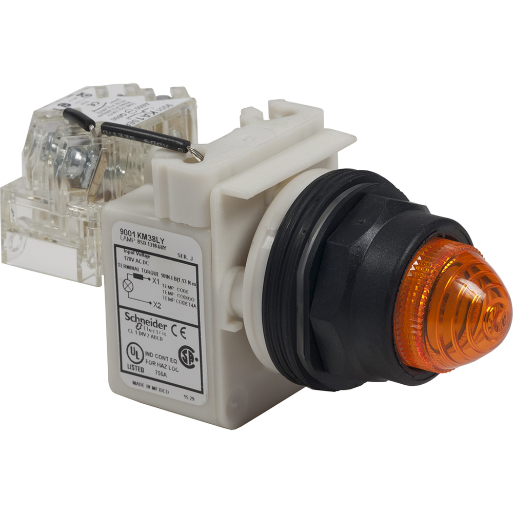 Image of Schneider Electric 9001SKT38LWW31