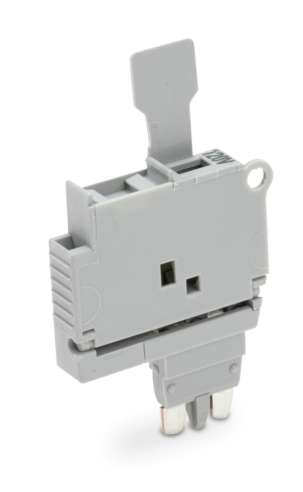 Image of WAGO 2004-911/1000-867